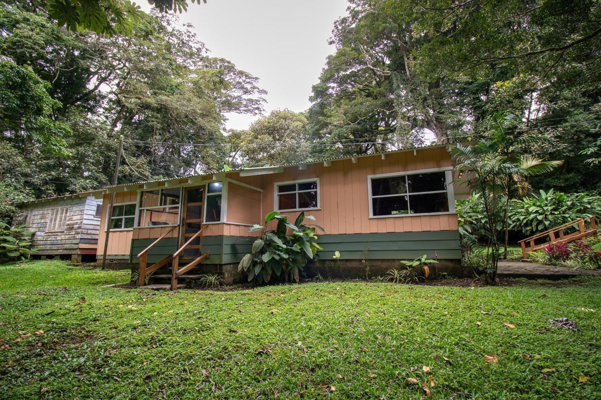 Forest Garden House Monteverde Exteriör bild