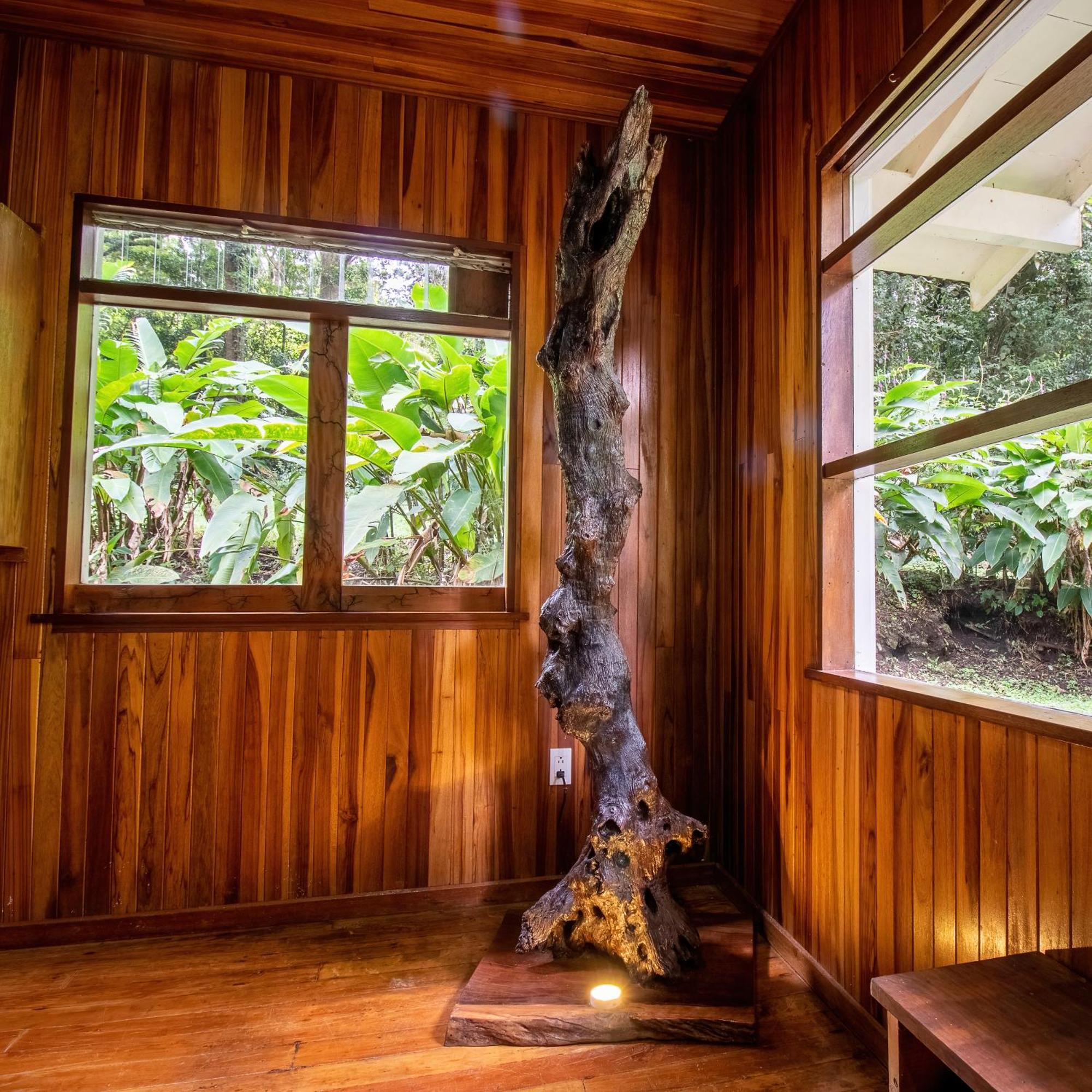 Forest Garden House Monteverde Exteriör bild