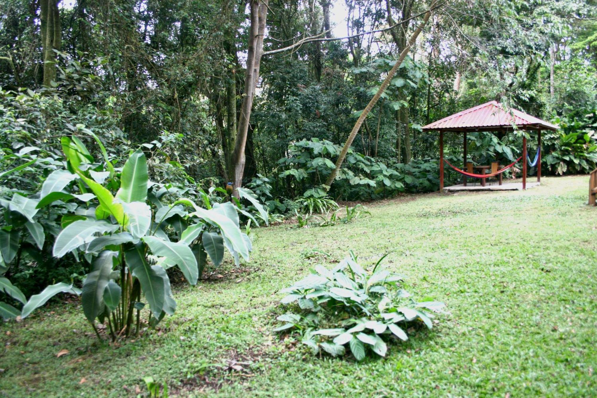 Forest Garden House Monteverde Exteriör bild