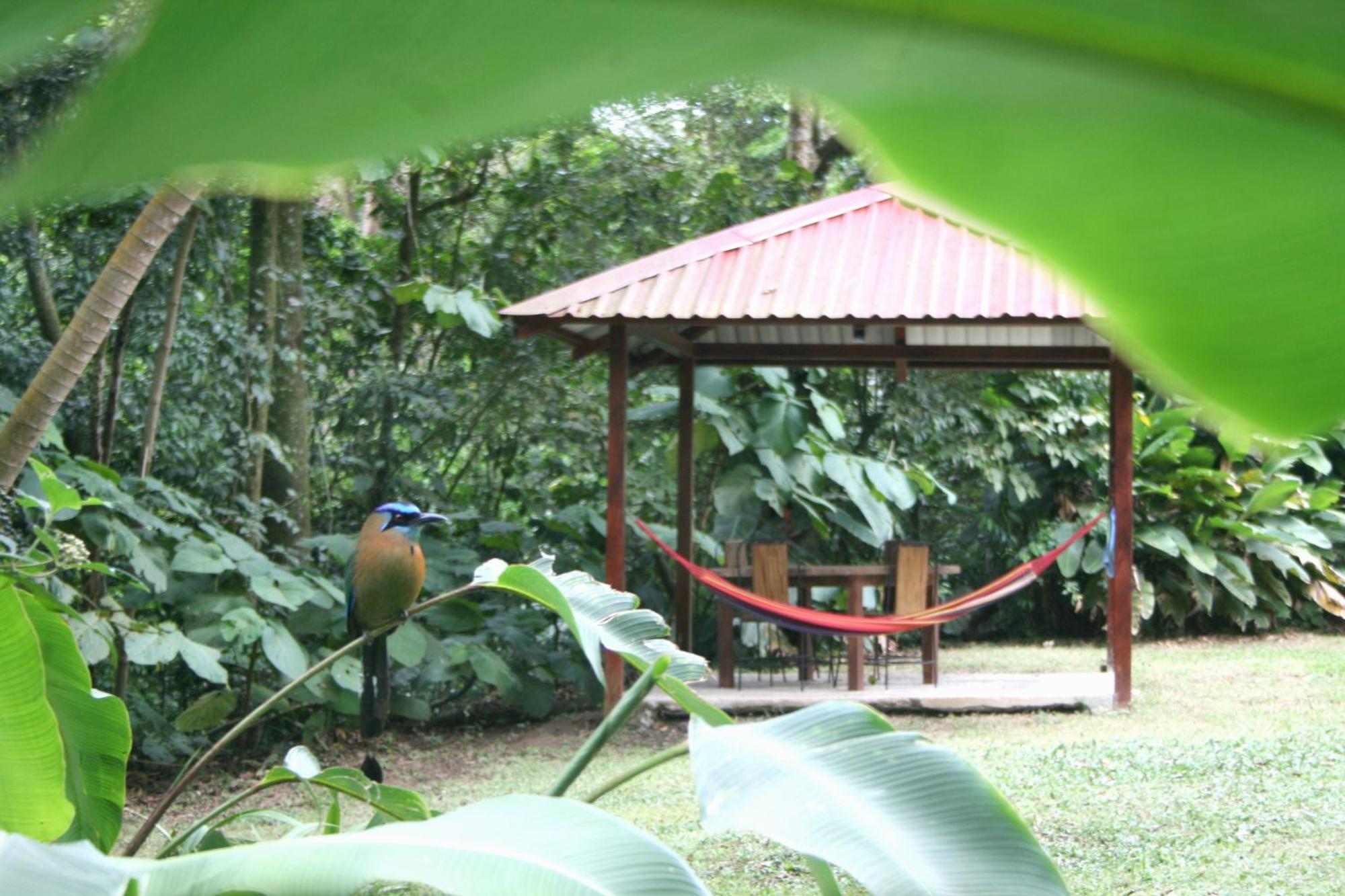 Forest Garden House Monteverde Exteriör bild