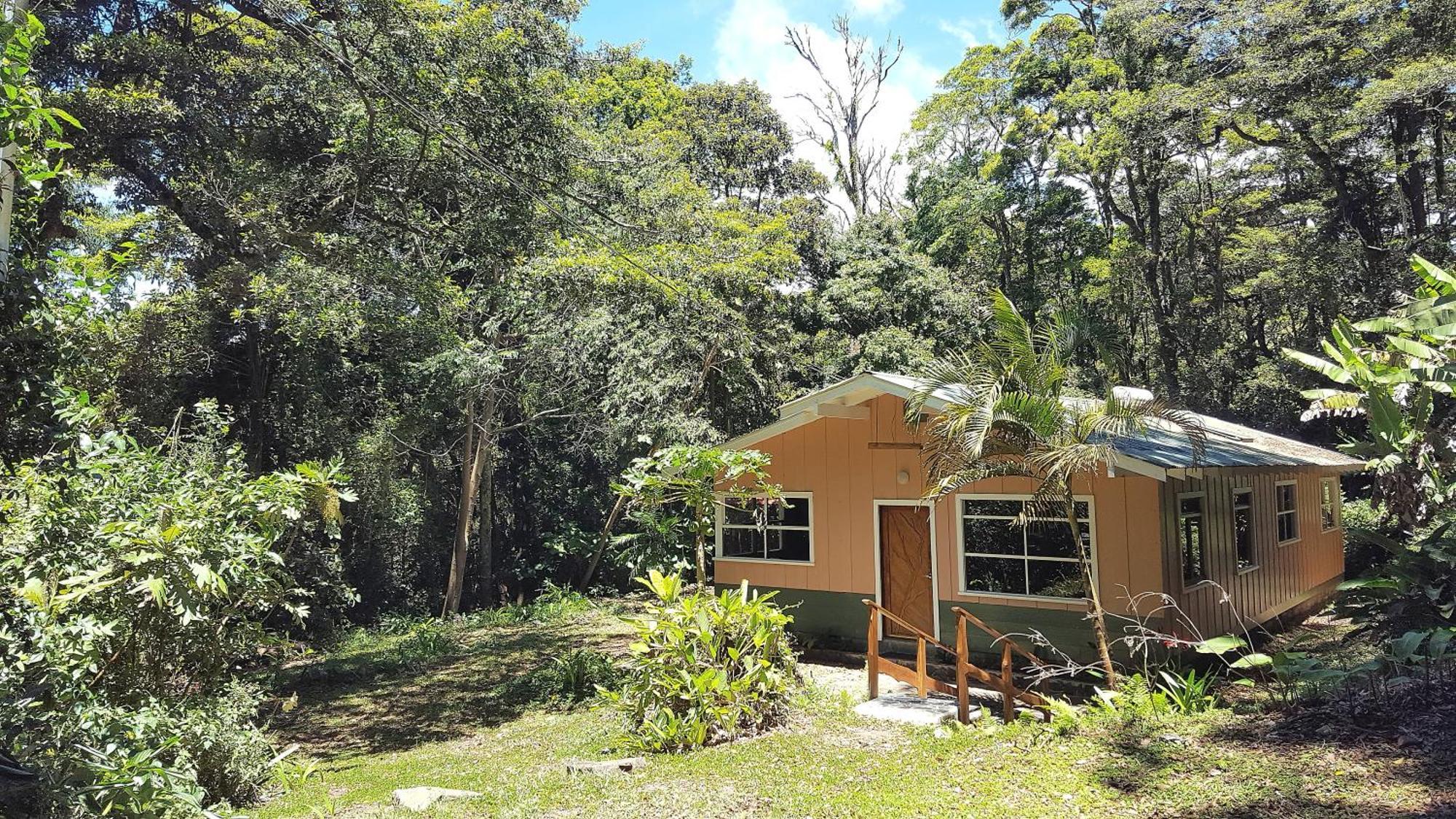 Forest Garden House Monteverde Exteriör bild